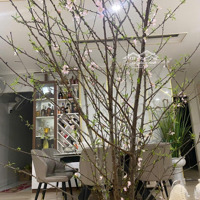 Gia Đình Có Nhu Cầu Chuyển Nhượng Căn Góc 116M2 Tầng Trung Hướng Đông Nam Cực Mát, Sẵn Sổ Giao Dịch