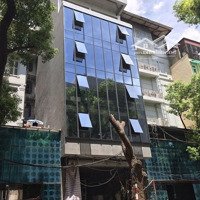 Bán Nhà Mặt Phố Quang Trung Kinh Doanh Bất Bại Thang Máy Nhập Khẩu 50M2 Giá Chỉ 16Ty