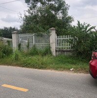 Bán Đấtmặt Tiềnan Nhơn Tây, Kcn Hiện Hữu Thổ Cư Xây Dựng Ngay