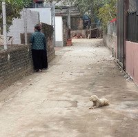 Lô Đất Thạch Đà Mê Linh 14, 5 Triệu