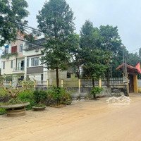 Bán Đất Phú Cát Quốc Oai, 68 M2, Giá Bán 2Ty500 Triệu Có Thương Lượng