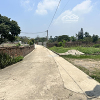 Bán Đất 100M2 Tại Đường Phú Nghĩa, Xã Minh Phú, Sóc Sơn, Hà Nội, Giá Siêu Hời 1,85 Tỷ
