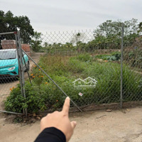 Bán Đất Tại Xã Trung Châu, Đan Phượng, Hà Nội Giá Cực Chất 2,9 Tỷ, 89,8 M2