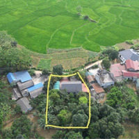Chính Chủ Cần Chuyển Nhượng Nhà Vườn Tại Cư Yên - Lương Sơn - Hb