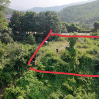 Siêu Phẩm Bám Sông Đà Bám Mặt Đường Tỉnh Lộ 317 . Diện Tích: 371M Ful Thổ Cư Dc Tinh Nhuệ Thanh Sơn Phú Tho