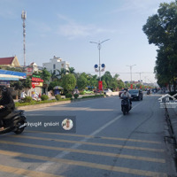Bán Lô Đất Siêu Đẹp Trục Chính Đường 359 Tân Dương, Tp Thủy Nguyên Ngay Cạnh Tthc Mới Giá Rẻ.