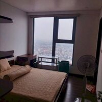 Cho thuê căn hộ 2 ngủ full nội thất sịn xò chung cư Hoàng Huy Grand Tower Sở Dầu , Hồng Bàng