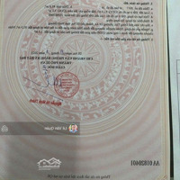 Bán Đất Nguyễn Du Dĩ An Gầm Trường Học