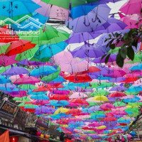 Cần Bán Gấp Vạn Phúc - Hà Đông, Chỉ 8.4 Tỷ, 32M2, 5 Tầng, Tháng Máy, Ô Tô Vào Nhà, Xách Vali Về Ở