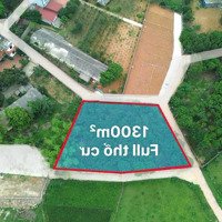 1300M2 Full Thổ Cư. 3 Mặt Tiền. Đất Hòa Thạch - Hòa Lạc