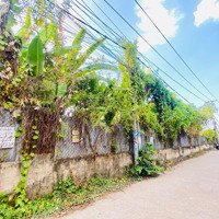 Bán Gấp Lô Đất 1368M2 Phường Bửu Long View Sông Đồng Nai Thoáng Mát