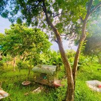 Bán Gấp Lô Đất 1368M2 Phường Bửu Long View Sông Đồng Nai Thoáng Mát