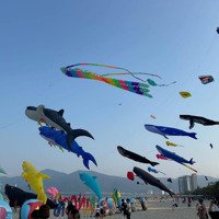 Sụp Hầm ! Lô Gốc 2Mt Hồ Nghinh 15,5M - Hướng Đông ,Diện Tích188M2 Ngang 10M - Hướng Đông , Giá Bán 29Ty5 Tl