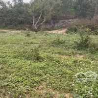Bán Đất Nghỉ Dưỡng View Siêu Đẹp, Lô Góc View Hồ Sót Lại Của Nhuận Trạch Lương Sơn Hoà Bình.