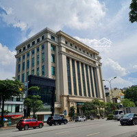 Tòa Mặt Phố Siêu Vip Xã Đàn, Đống Đa 450M2, Thang Máy, 2 Mặt Phố, 4 Mặt Thoáng. Mặt Tiền Đẳng Cấp !