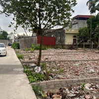 Bán Lô Đất Đẹp 74M2 Tại Tân Dương. Tp Thủy Nguyên Ngay Tthc Mới Ngõ Thông Ô Tô Đỗ Đất Giá Rẻ.