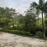 Đất Đẹp Giá Tốt- Bán Nhanh Lô Đất Mặt Tiền Tại Xóm 5 Xã Quỳnh Ngọc, Huyện Quỳnh Lưu Tỉnh Nghệ An
