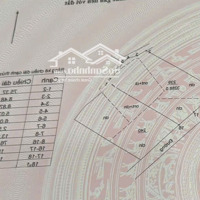 Siêu Biệt Phủ Gỗ Bạch Dương Nga Chờ Chủ Nhân Xứng Tầm 3.288M² - Đối Diện Flamigo Đại Lải