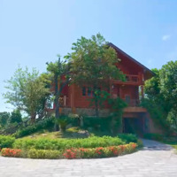 Siêu Biệt Phủ Gỗ Bạch Dương Nga Chờ Chủ Nhân Xứng Tầm 3.288M² - Đối Diện Flamigo Đại Lải