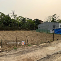 Bán Gấp 130M2 Đạo Tú Gần Kcn Tam Dương Đang Làm Đg Rộng 5M Đầu Tư Alo Ngay