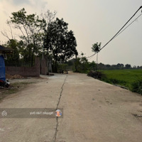 Bán Gấp 130M2 Đạo Tú Gần Kcn Tam Dương Đang Làm Đg Rộng 5M Đầu Tư Alo Ngay
