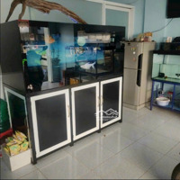 Chủ Bán Cá Cảnh Cần Bán Gấp 57 M2, Becamex Mỹ Phước 1, Giá Bán 880 Triệu, Thuê 4 Triệu/Th, Sài Gòn Mua Được