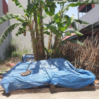 Đường Thông Vin Cổ Loađất Lành Các Nàng Tiên Hội -Oto Đỗ Cửa-Diện Tích Rộng-Giá Thấp Nhất Khu Vực