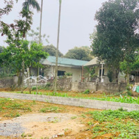 Chuyển Nhượng 501M² (100M² Thổ Cư) Cực Gần Dự Án Hồ Đồng Chanh