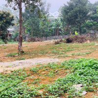 Chuyển Nhượng 501M² (100M² Thổ Cư) Cực Gần Dự Án Hồ Đồng Chanh