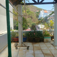 Bán Nhà Gần Biển Mặt Tiền Phan Chu Trinh, Phường 2
