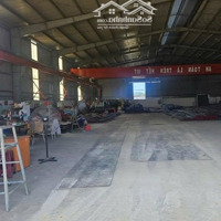 Cho Thuê Xưởng 1600M2 Đường Phú Mỹ Tóc Tiên