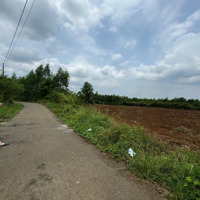 Cần Bán Lô Đất Đẹp Hơn 1.3Ha Sông Xoài, Tp. Phú Mỹ Có 500M Thổ Cư.