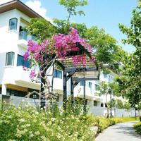 Cho Thuê Nhà Phố 4 Tầng Khu Compound La Vida Residence Đường 3/2 Cách Trung Tâm Tp Vũng Tàu 5 Phút