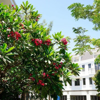 Cho Thuê Nhà Phố 4 Tầng Khu Compound La Vida Residence Đường 3/2 Cách Trung Tâm Tp Vũng Tàu 5 Phút