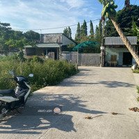 Chính Chủ Bán Lô Đất Đẹp Gần Đường Phan Văn Đối, Bà Điểm - Hóc Môndiện Tích100M2, Shr Full Giá Bán 950 Triệu