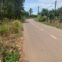 Bán Đất Tỉnh Lộ 765B, Xã Bảo Bình, Cẩm Mỹ, Đồng Nai Chỉ Với 1,38 Tỷ, 8268 M2 Có 100M2 Thổ Cư