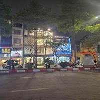 Cho Thuê Nhà 3 Tầng, Mặt Tiền 12M, Sàn 100M2, Mặt Đường Chính Trần Thái Tông