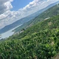 ĐẤT VIEW SÔNG ĐỒNG NAI , SẴN THỔ CƯ ,GIÁ TỐT
