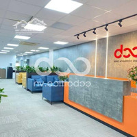 Siêu Tiết Kiệm Chi Phí Với Văn Phòng Trọn Gói Free 15 Loại Dv , Phù Hợp 7-10Nv Tại Hoàng Đạo Thúy