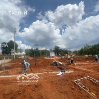 Bán Nhà Riêng 375M² Full Nội Thất Cơ Bản Ngoại Ô Đà Lạt, 3 Tỷ 450 View Đồi Thông Săn Mây