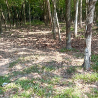 3692M2, Mặt Tiền Đường 6M, Minh Hưng, Chơn Thành. Chỉ 2.5 Tỷ