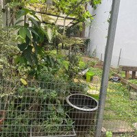 Bán Đất Tại Ngọc Thụy, Long Biên, Hà Nội, 8,7 Tỷ, 51M2