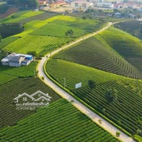 Suất Ngoại Giao Đông Nam, Dự Án Hoàng Nông Shophouse Giá Bán Chỉ 1,3X Tỷ. Liên Hệ: 0825.166.166