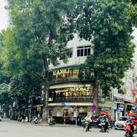 Cho Thuê Nhà Mặt Phố Hoàng Hoa Thám 6 Tầng Mặt Tiền 6M Vị Trí Đẹp, Kinh Doanh Đỉnh