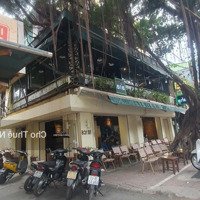 Tổng Hợp Mặt Bằng Vị Trí Đẹp, Phố Trung Tâm - Chọn Lọc Hàng Ngày - Gọi Ngay!