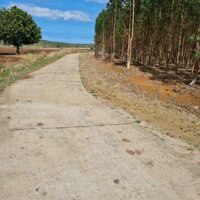 Bán 8.5 mẫu đất 3 mặt tiền cực đẹp xã Kon Chiêng, MangYang, Gia Lai