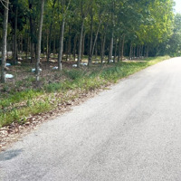 200M2, Mặt Tiền Đường 6M, Minh Hưng, Chơn Thành, Chỉ 350 Triệu