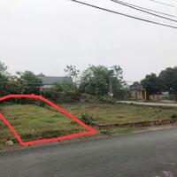 Bán 113m2 đất Thôn Mới, Thanh Vân, Tam Dương, giá: 1,25 tỷ.Liên hệ : 0986.454.393- 0986.797.222