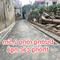 Hải Bối Chỉ Hơn 3 Tỷ - Lô Góc - Ô Tô Đỗ Cửa - Rất Đẹp Ngay Đầu Cầu Nhật Tân, Sát Tp Thông Minh