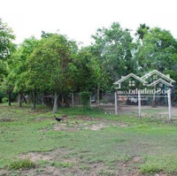 Cảm Nhận Thực Tế 28 Triệu/M2 Thổ Cư Mặt Tiền Long Phước